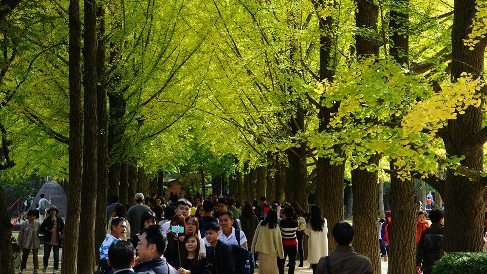 Kedubes Korea Selatan Kini Permudah Pembuatan Visa Multiple