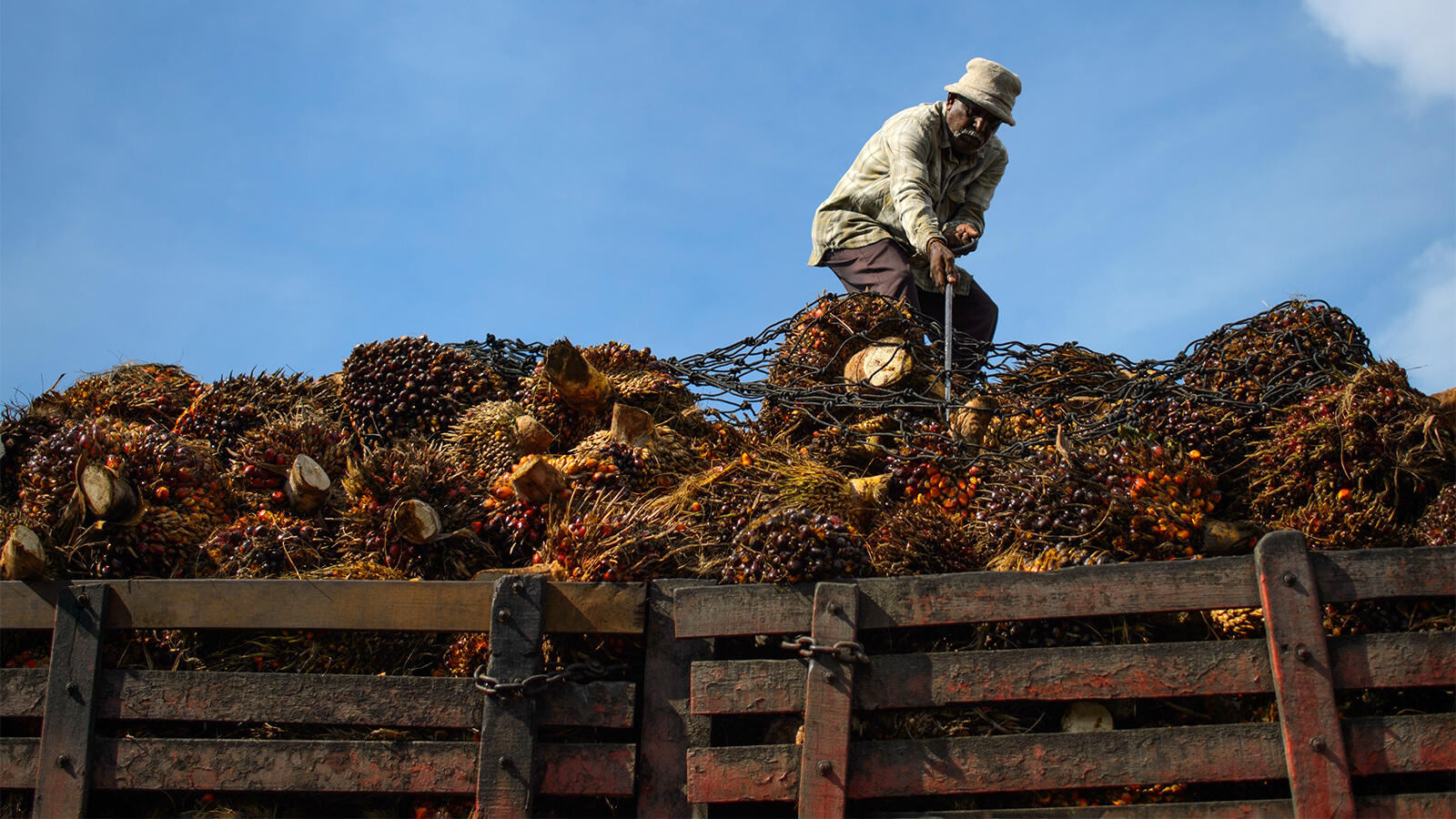 Asian Agri Tak Khawatir dengan Kampanye Hitam Kelapa Sawit di Eropa