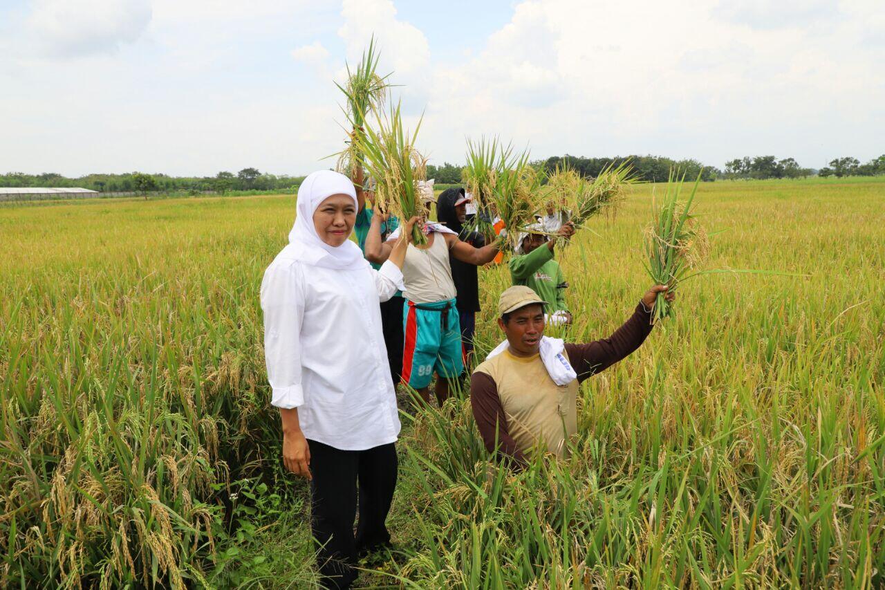 Ini Kata Khofifah dan Gus Ipul Soal Pemimpin yang Dibutuhkan Rakyat