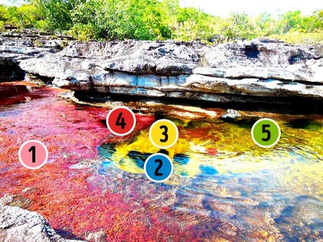 Inilah Fenomena Alam Misterius yang Pernah Ada, Nomer 4 & 8 Bikin Ngeri Gan!