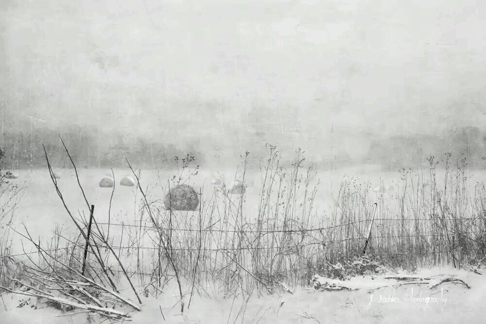 "Konstelasi" Puisinya LonelinessSoul