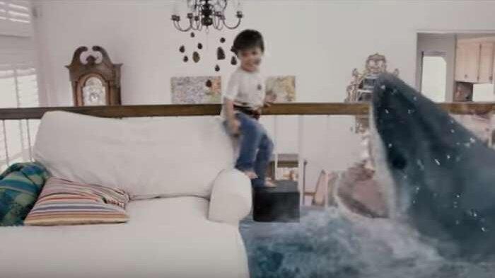 Kisah Anak Kecil yang Pernah Nyaris Digigit Hiu, Tak Disangka ini Penyebabnya