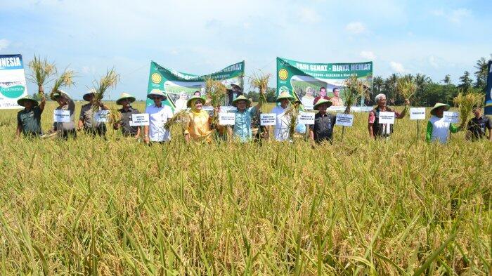 Penggunaan Pupuk dan insektisida Organik Tingkatkan Hasil Penen Dua Kali Lipat