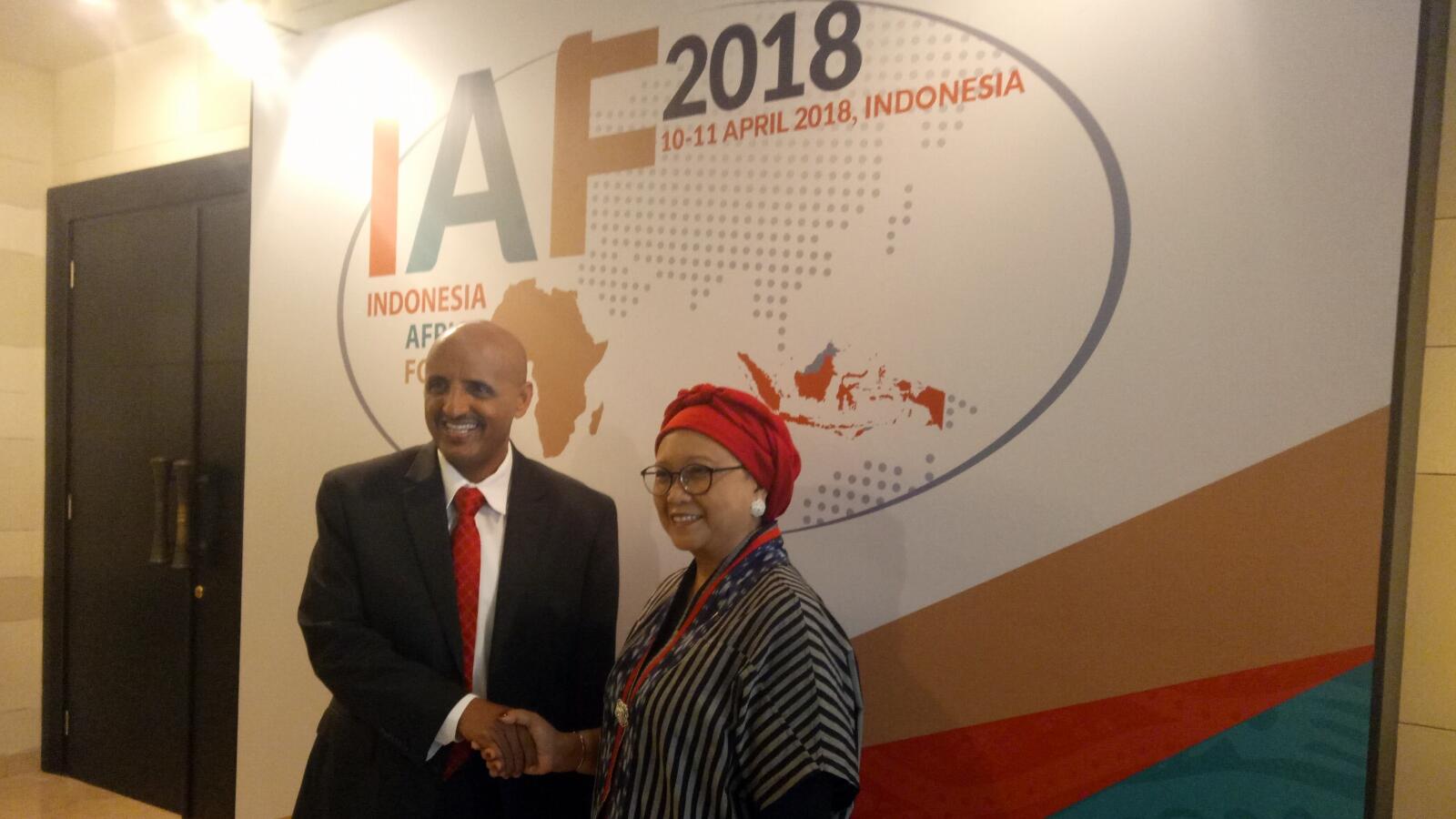 Tahun Ini Penerbangan Langsung Jakarta-Addis Ababa Dibuka