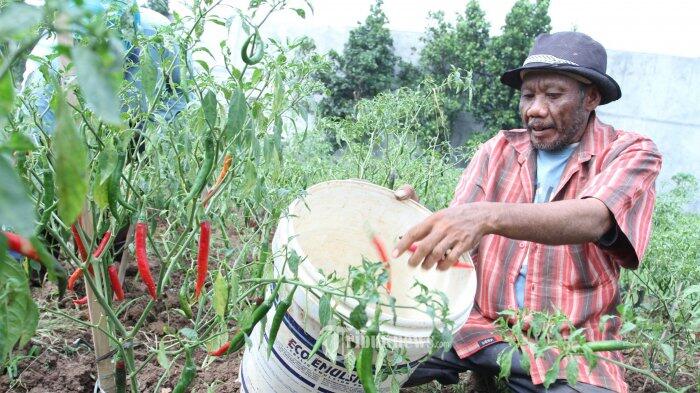 Kementan Dorong Optimalisasi Lahan Tidur di Daerah-daerah