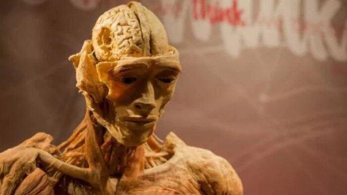 Ngeri, Pameran di Sydney Ini Gunakan Mayat Sungguhan