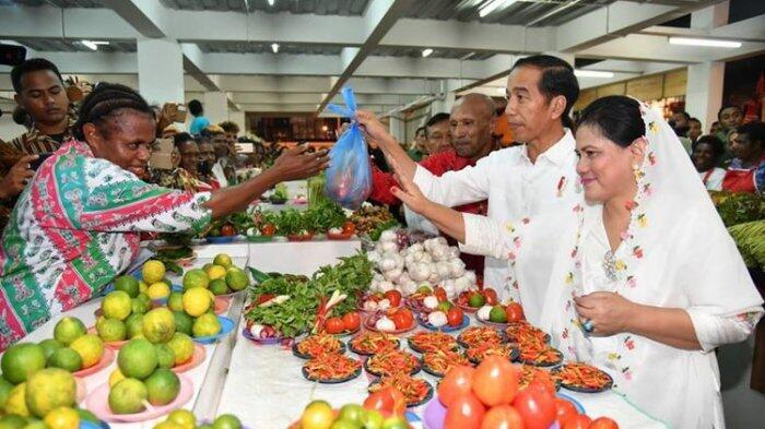 Kunjungan Jokowi, Projo Papua Sampaikan Apresiasi
