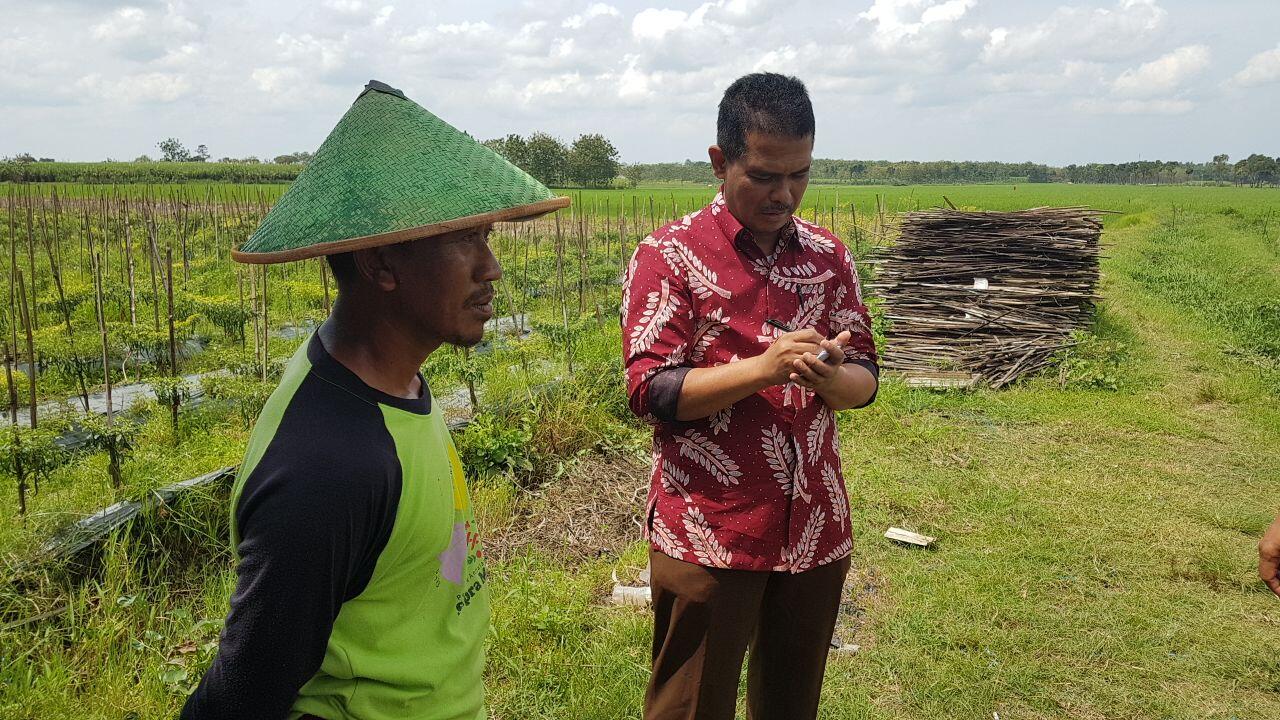 Jawa Tengah Siap Pasok Bawang Merah dan Cabai ke Jakarta Selama Ramadhan
