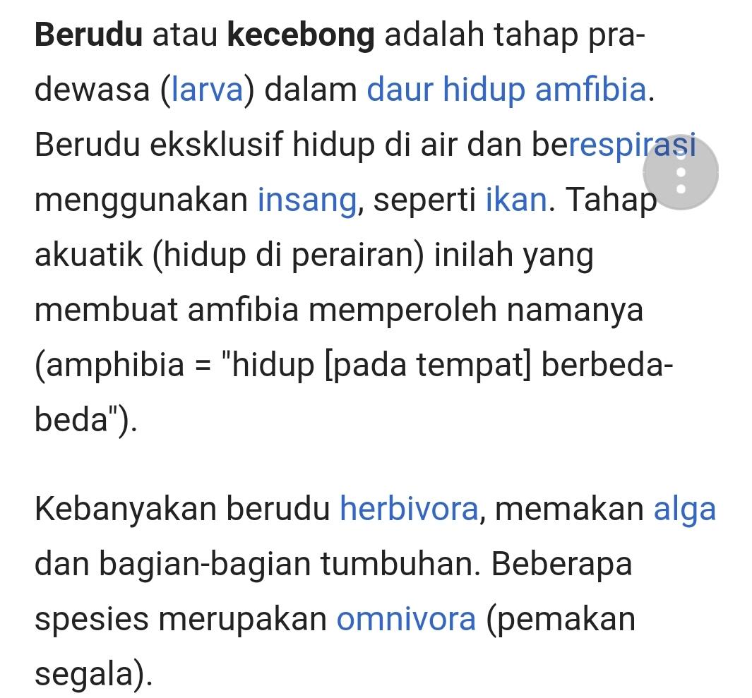 Tidak Punya Anggaran, Presiden Jokowi Mungkin Akan Batalkan Program Pesawat Tempur IF