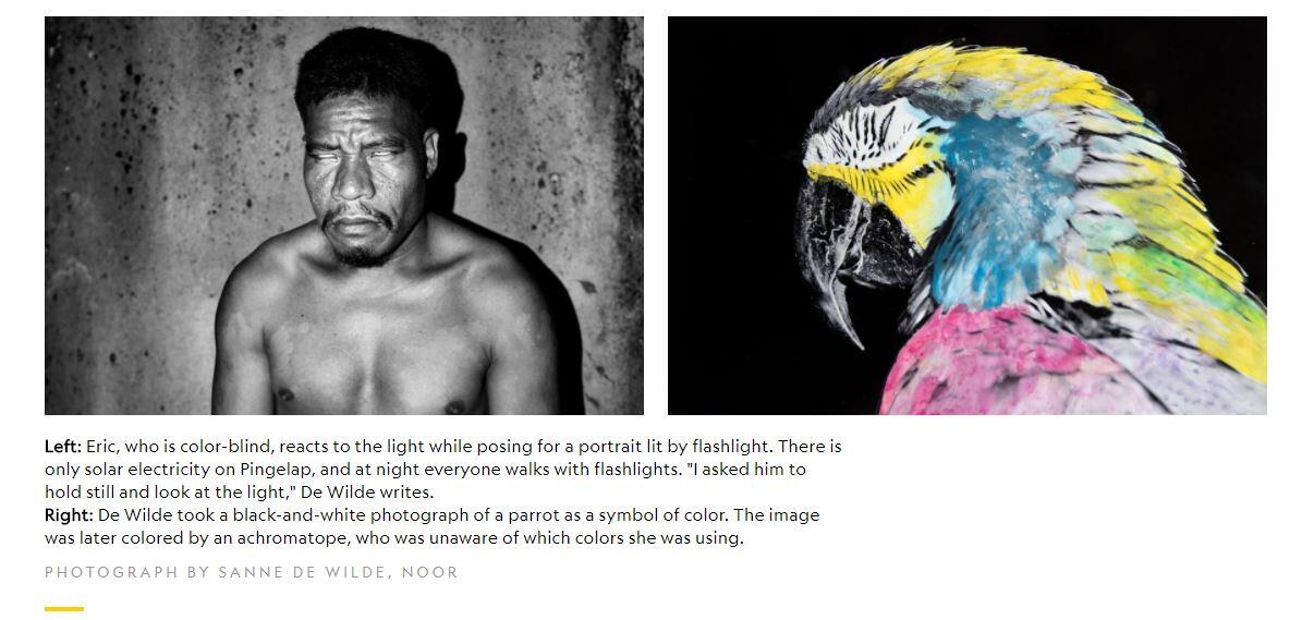 Di Pulai Ini, Daun Itu Warnanya Pink Gan!