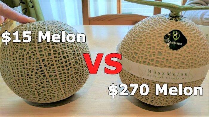 Apa Perbedaan Buah Harga Puluhan Ribu dengan yang Jutaan? Simak Ulasannya