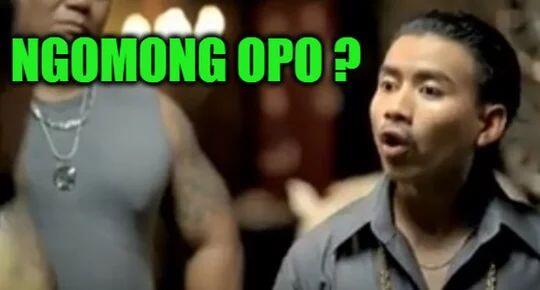 Kecoa bisa membaca pikiran manusia dan mengerti bahasa manusia