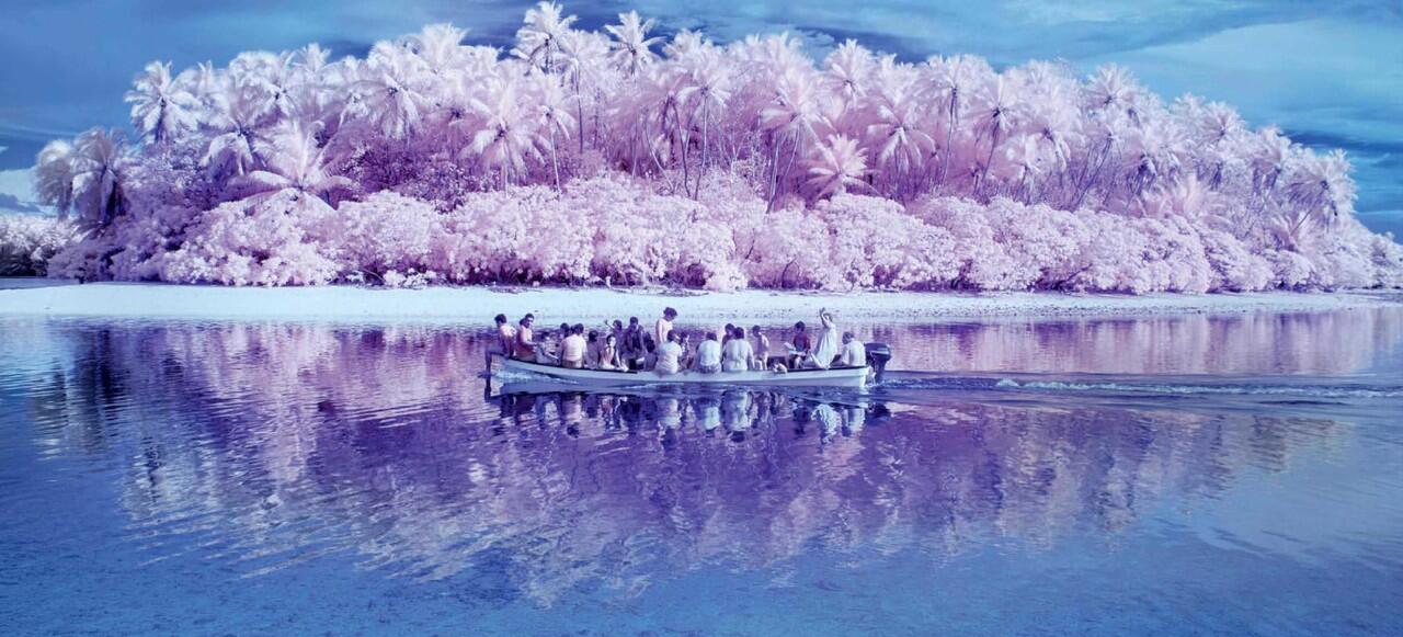 Di Pulai Ini, Daun Itu Warnanya Pink Gan!