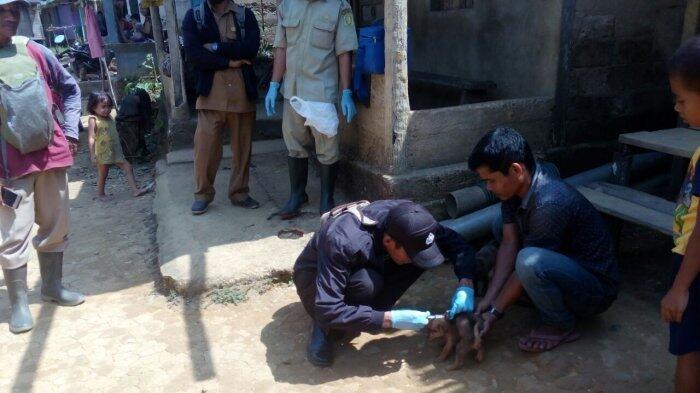 Dinas Kesehatan Singkawang Usul Penambahan Vaksin Anti Rabies