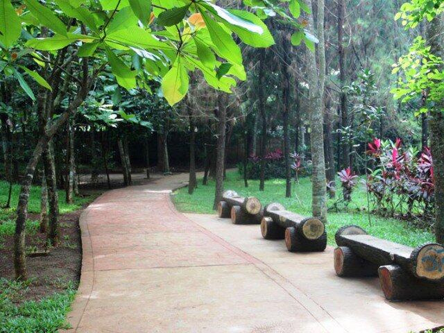 WOW Keren BSD Punya Hutan Kota