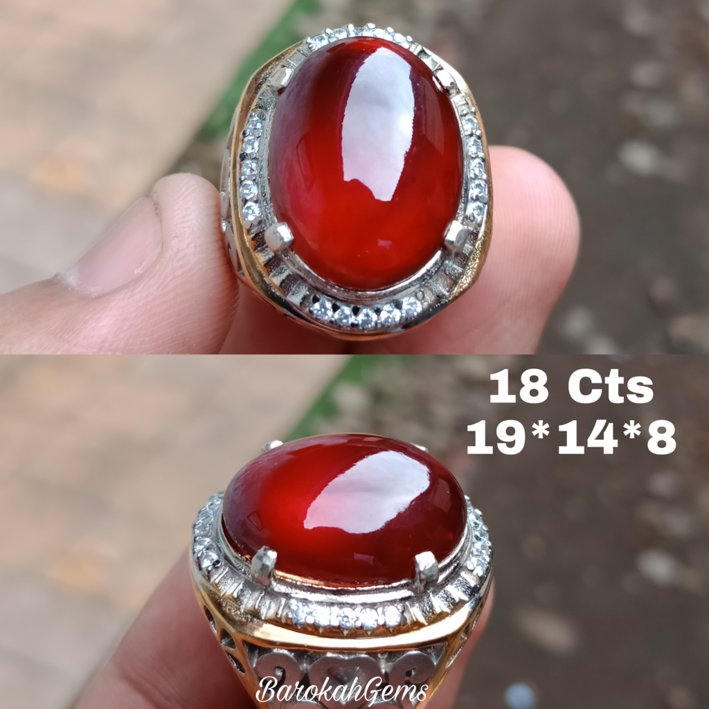 LELANG KE-19 LAYAK UNTUK DIKOLEKSI HARGA DIBAWAH PASAR BESOK TUTUP