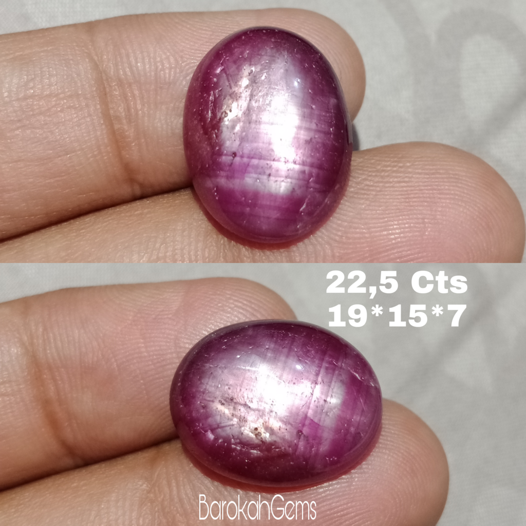 LELANG KE-19 LAYAK UNTUK DIKOLEKSI HARGA DIBAWAH PASAR BESOK TUTUP