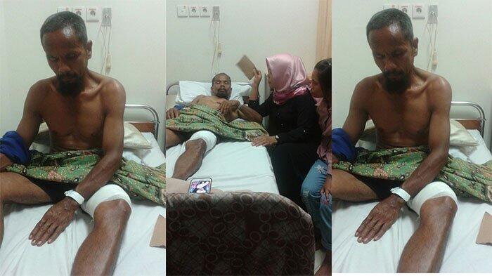 Kisah Dasril Dikeroyok Dua Beruang Madu, Satu Berhasil Dibacok Satunya Lagi Menyerang