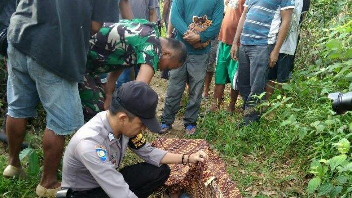 Jasad Tergantung di Pohon Karet Gegerkan Warga Desa Kungkai