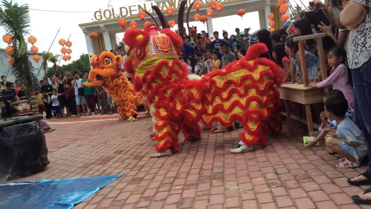 Perjalanan Barongsai di Bumi Nusantara