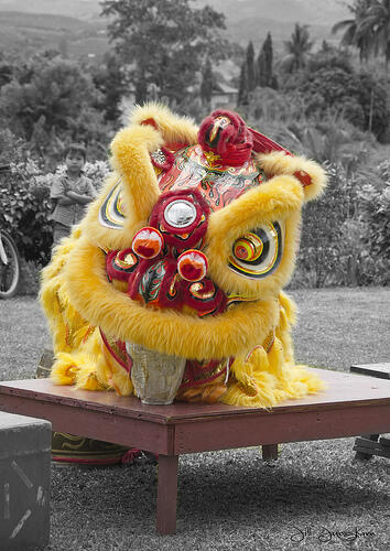 Perjalanan Barongsai di Bumi Nusantara