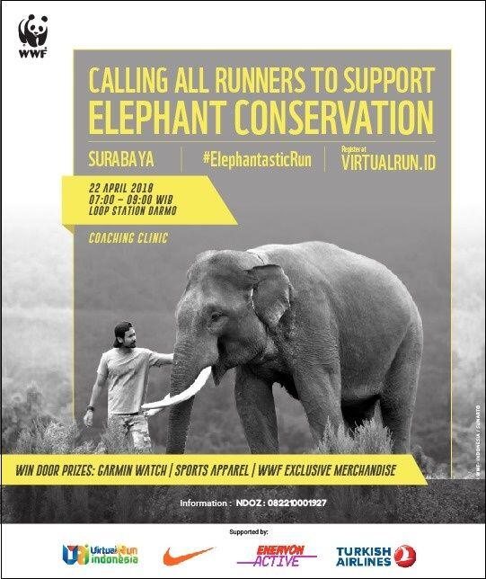&#91;Event&#93; ElephantasticRun with WWF