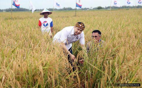 Jokowi-Hary Tanoe Raih Hasil Survei Tinggi 41,8% sebagai Pasangan di Pilpres 2019