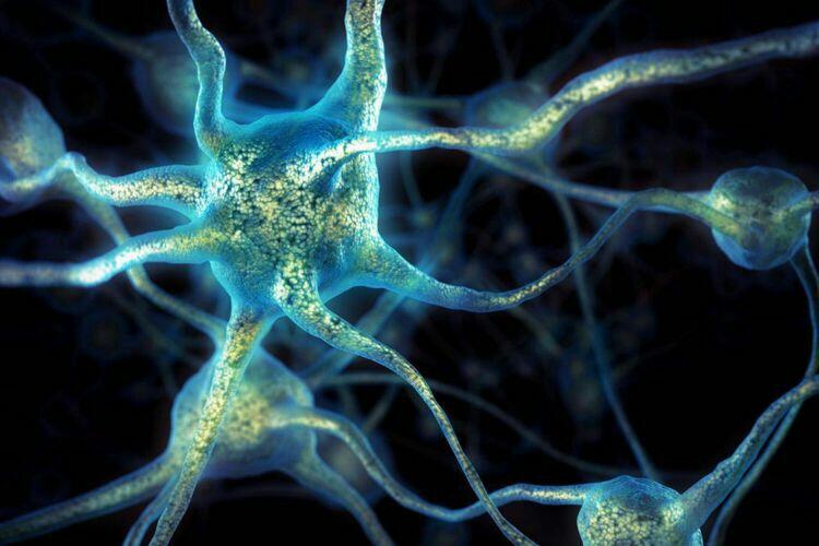 Peneliti Ungkap Hubungan antara Autisme dan Epilepsi