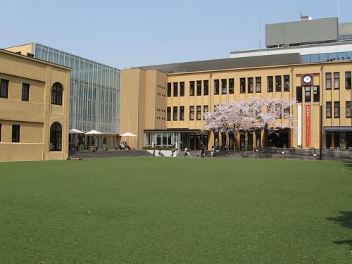 20 Hal Yang Wajib Dilakukan Di Tokyo