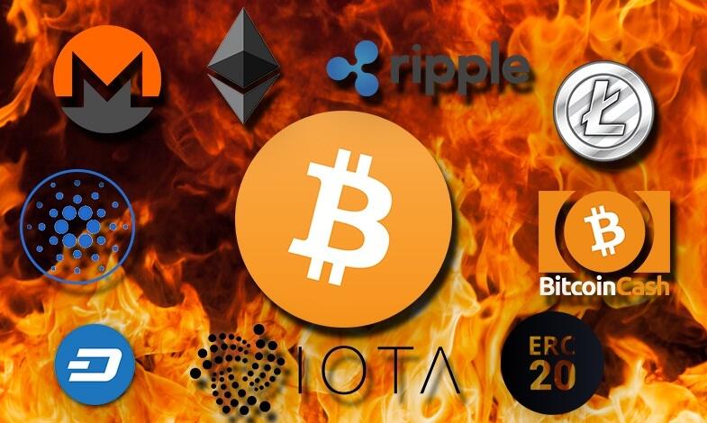 Cara Trading Bitcoin Untuk Pemula Biar Ga Salah Langkah