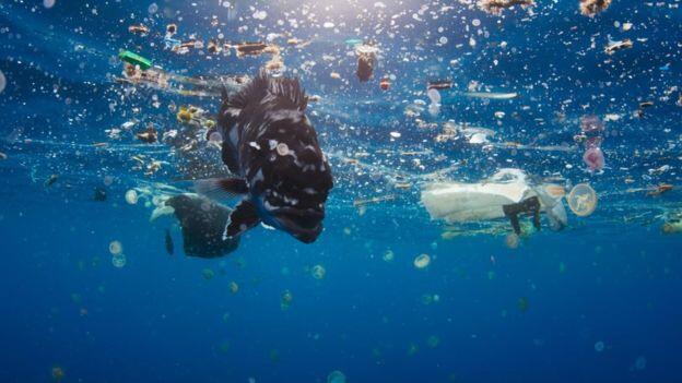 Mantap Gan! Sedotan Plastik dan Korek Kuping Dilarang di Inggris!