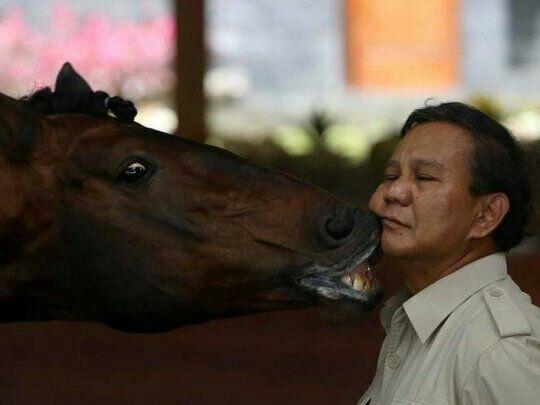 Berkali-kali Hasil Survei Di Bawah Jokowi, Prabowo Tetap 