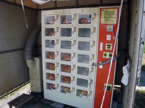 Vending Machine, Musuh Utama First Time Traveller Ke Jepang