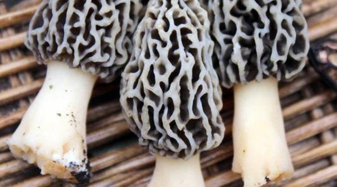 5 Makanan Termahal di Asia Tenggara, 2 di Antaranya dari Indonesia
