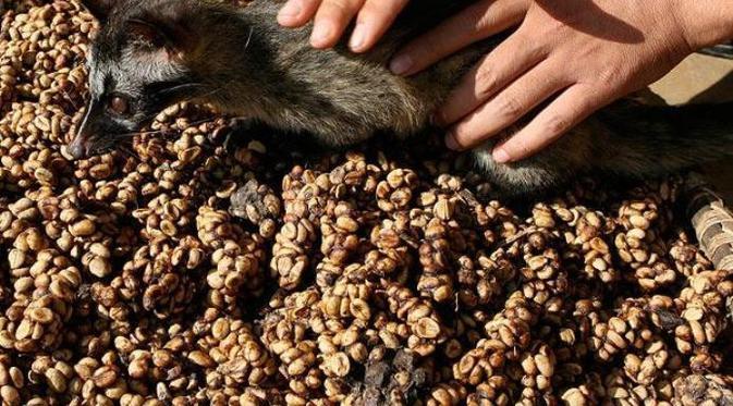 5 Makanan Termahal di Asia Tenggara, 2 di Antaranya dari Indonesia