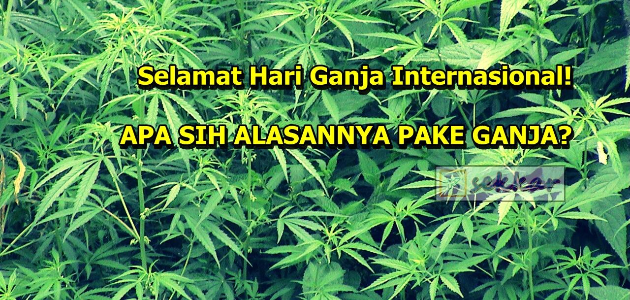 Selamat Hari Ganja Internasional! APA SIH ALASANNYA PAKE GANJA?