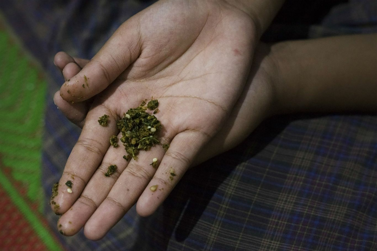 UGAMO MALIM

Daun pahit menjelang tahun baru Batak