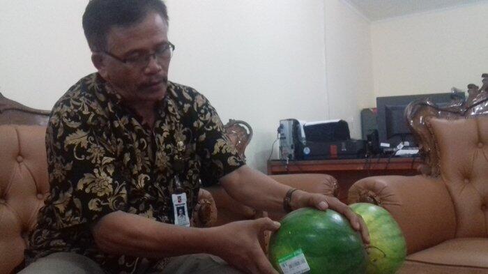 Geger Temuan Semangka Berbusa dan Keluarkan Gelembung di Bogor