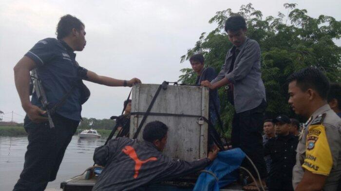 Kisah Penangkapan Harimau Bonita, Sempat Berjalan Sejauh 1 Km Usai Ditembak Bius