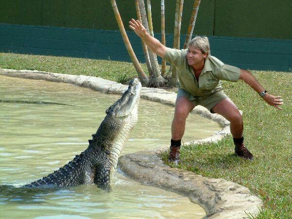Kenalan Yuk Sama Putri Steve Irwin “Crocodile Hunter” yang Akrab Dengan Binatang Buas