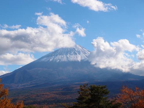 Inilah Aokigahara, Hutan Bunuh Diri Terpopuler Di Jepang