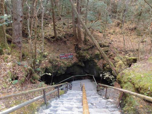 Inilah Aokigahara, Hutan Bunuh Diri Terpopuler Di Jepang