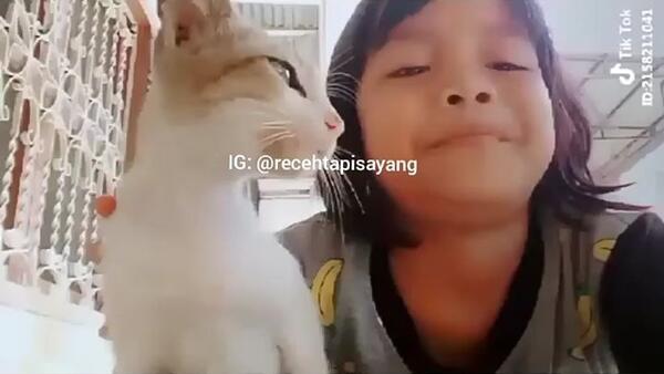 Kelakuan Bocah Main Tik-tok Bersama Kucing, Endingnya Bikin Ngakak