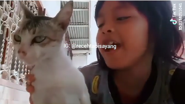 Kelakuan Bocah Main Tik-tok Bersama Kucing, Endingnya Bikin Ngakak