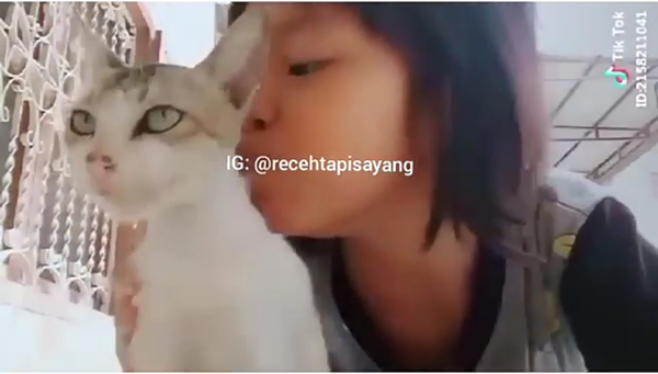 Kelakuan Bocah Main Tik-tok Bersama Kucing, Endingnya Bikin Ngakak