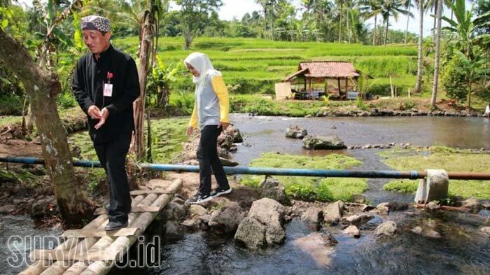 Wow, Warga Gotong Royong Sulap Semak Belukar Jadi Wisata Taman Selada Instagramable