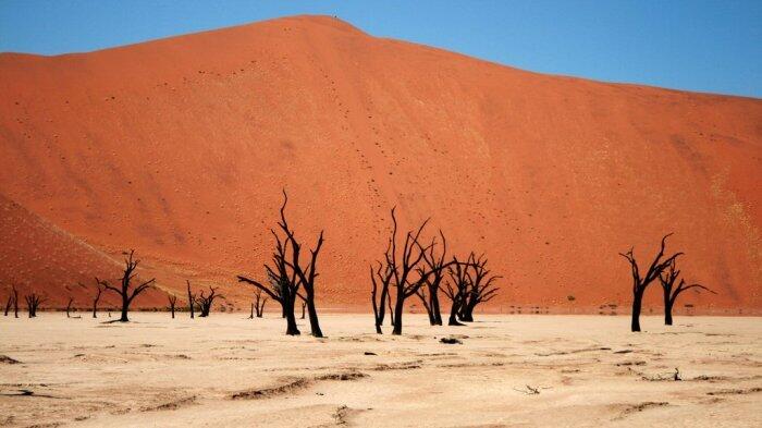 Bak Dunia Dongeng, 10 Tempat Ini Benar-benar Nyata, Ada yang di Indonesia