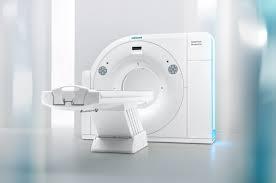 Pertama Di Dunia Badak Jalani CT Scan Di Kebun Binatang