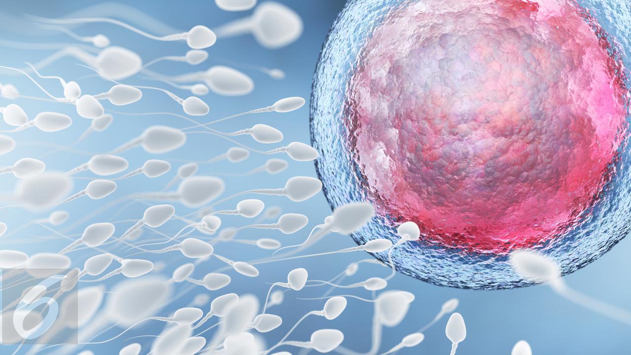 Korek Kuping hingga Upil Gorila, Ini 5 Permen Paling Aneh di Dunia