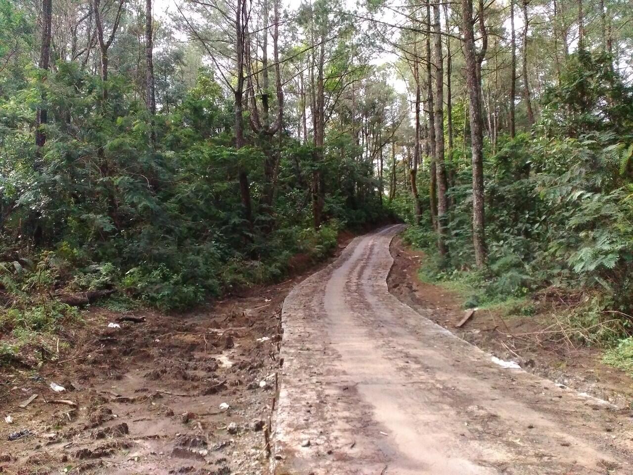 PESONA PEMANDANGAN JALAN BARU